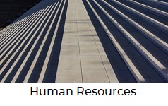 Human Ressources